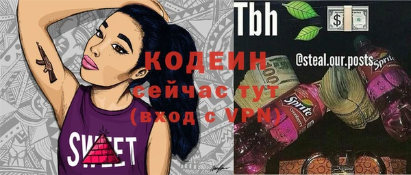 молекула духа Осинники