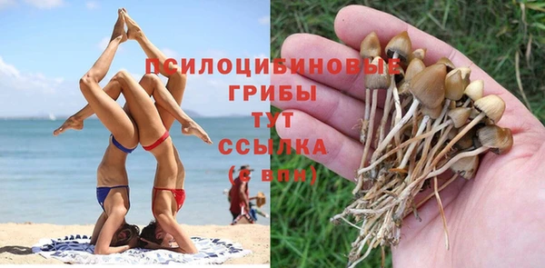 прущая мука Алексеевка